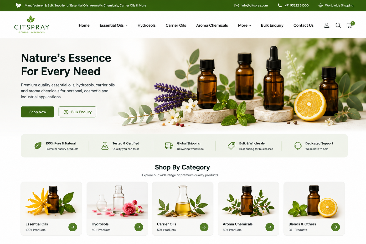 CitSpray website mobile experience